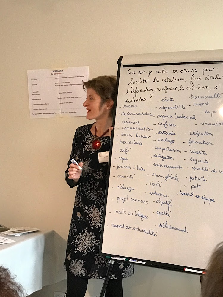 Laure Jeannin FORMATION - MEDIATION et COACHING à Saint Etienne - Saint-Étienne