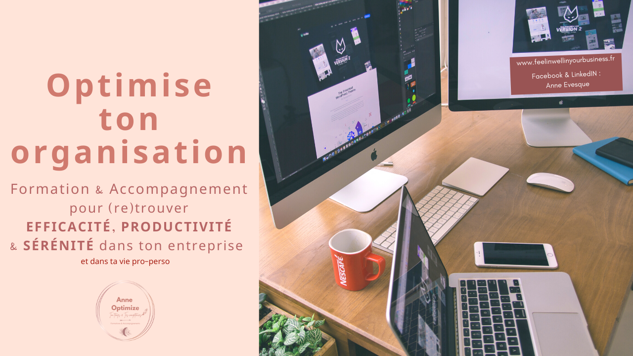 Anne Evesque | Formation Gestion du Stress via le CPF - Management - Gestion du temps - Gestion des outils digitaux - Transition Digitale | Valence | Rhône-Alpes - Valence