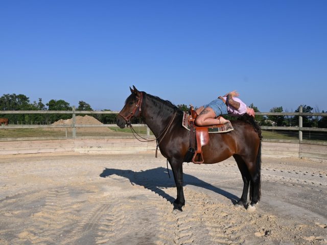 Julie Larue - Valence