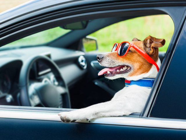 Auto-école Classe Permis - Louvres - +33 6 51 95 32 57