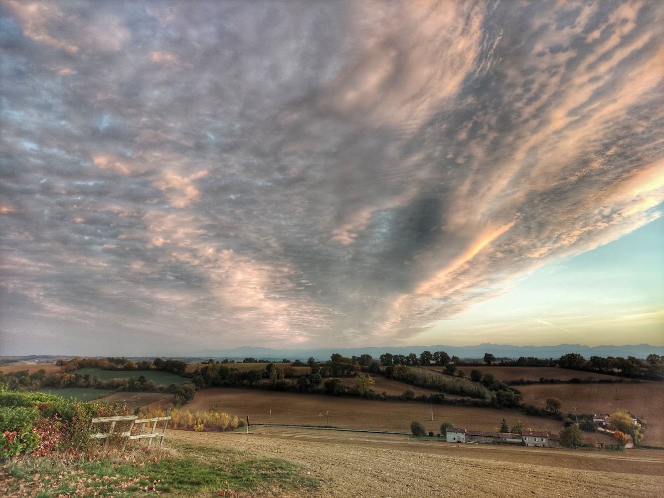 Montaut
