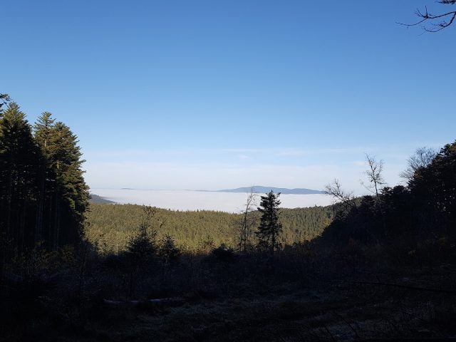 La Côte-en-Couzan - La Côte-en-Couzan -