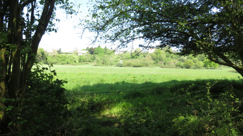 Saint-Grégoire-du-Vièvre