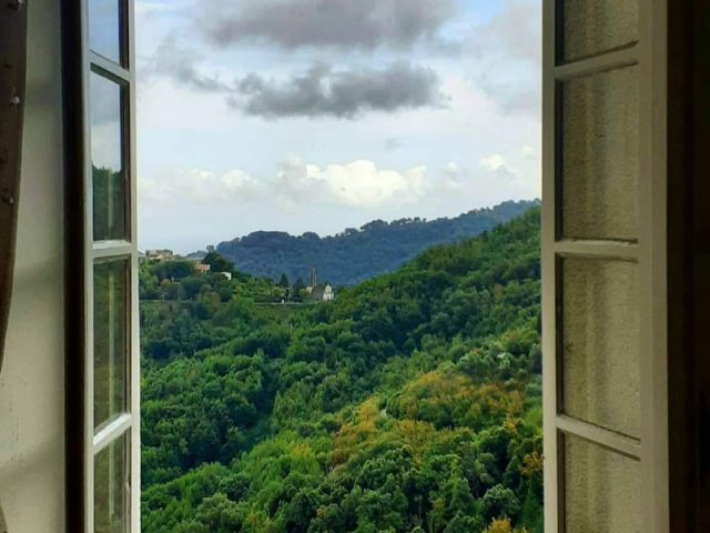Taglio isolaccio - Taglio-Isolaccio -