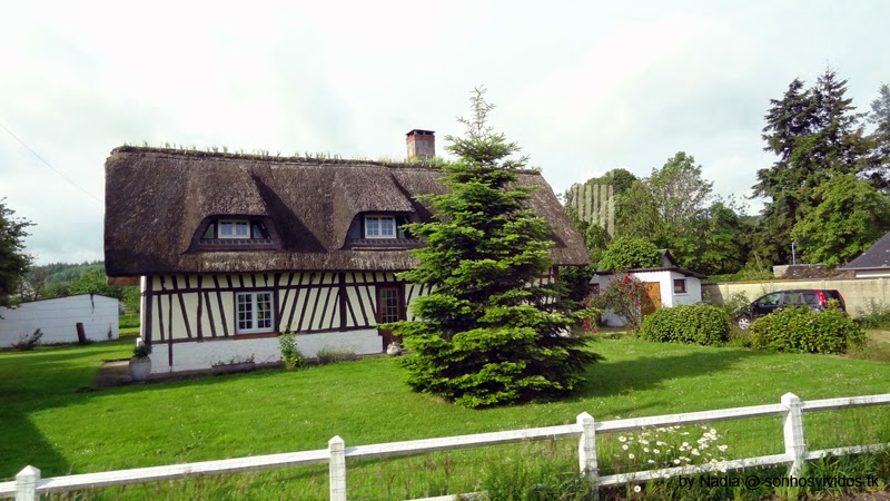 Berville-sur-Mer