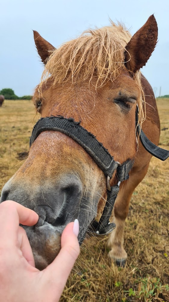 Poney Club De Brevonnes