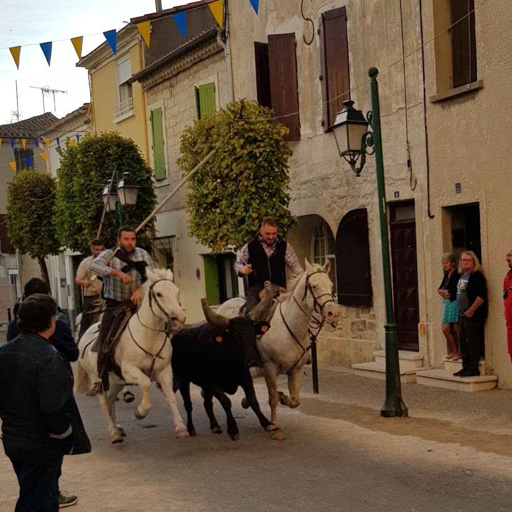 auto ecole saint louis