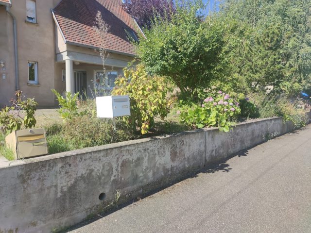 Auto-Moto Ecole HAAS - Dambach-la-ville - +33 9 51 91 33 31