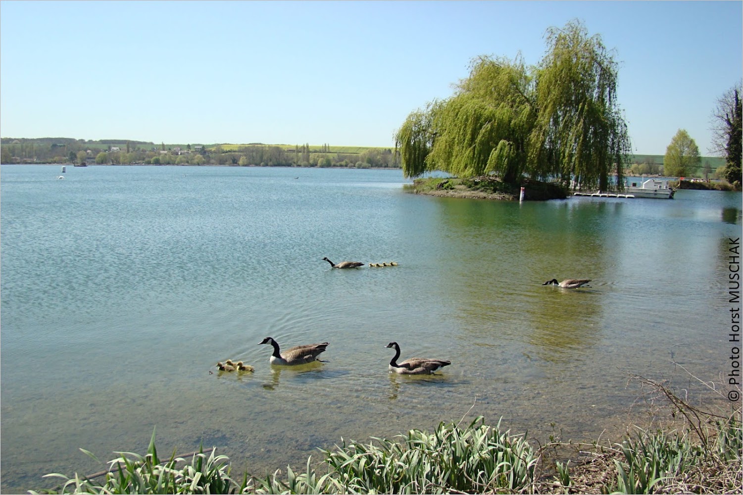 Plan d'eau de Mézières-Écluzelles