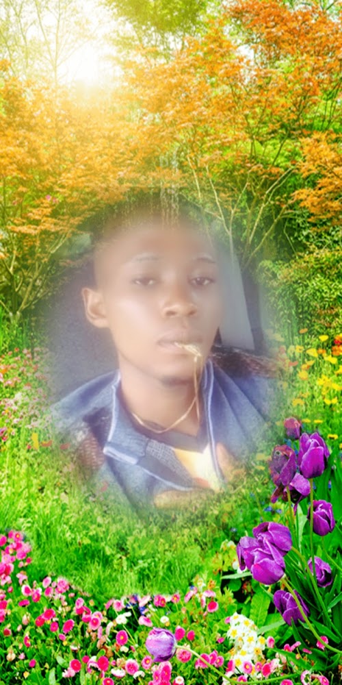 Elodie auto-ecole