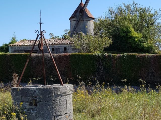 Chenac-Saint-Seurin-d'Uzet - Chenac-Saint-Seurin-d'Uzet -