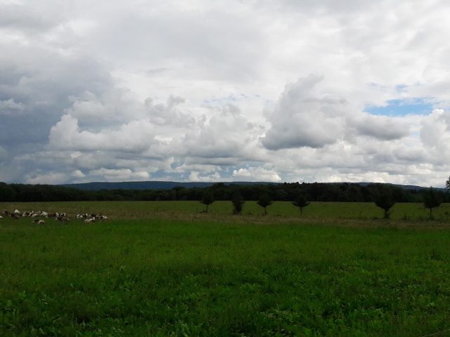 Sorans-lès-Breurey - Sorans-lès-Breurey -