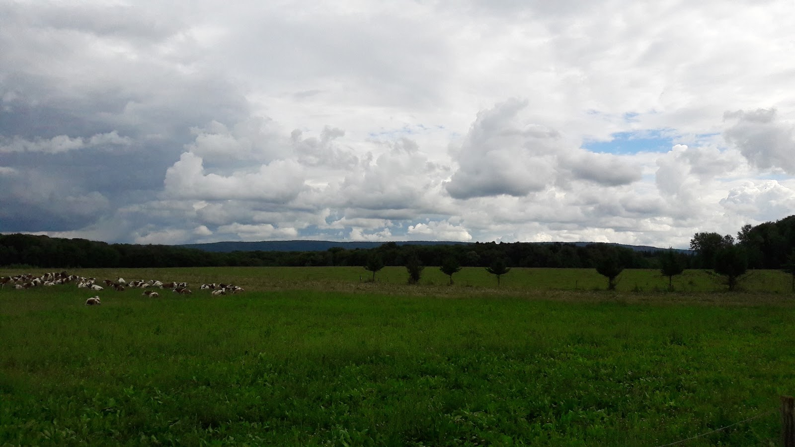 Sorans-lès-Breurey