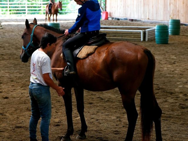 Centre Equestre Du Pays Beaumontois - Beaumontois-en-Périgord - +33 5 53 22 50 99