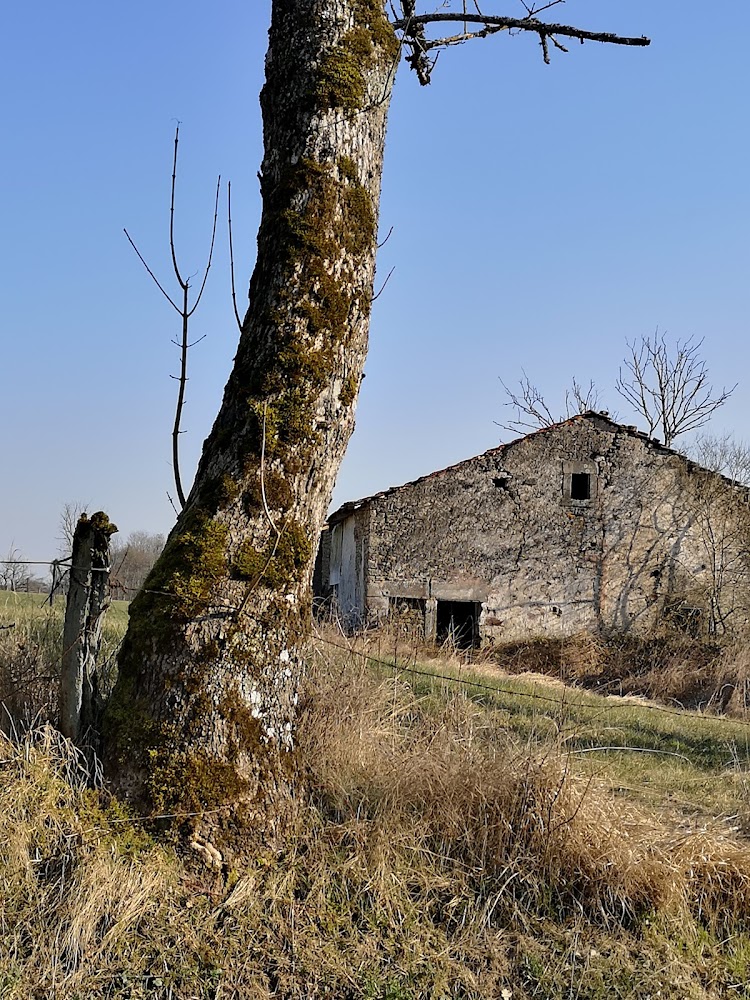 Martinvelle