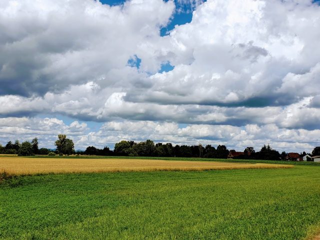 Neuhaeusel - Neuhaeusel -
