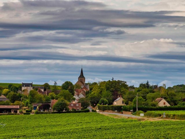 Sainte-Gemme-en-Sancerrois - Sainte-Gemme-en-Sancerrois -