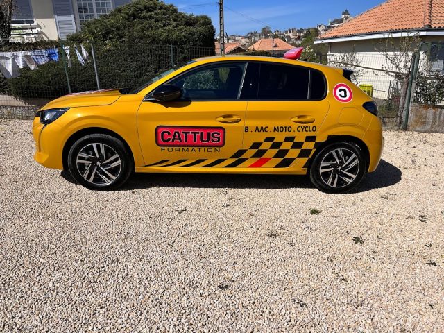 Cattus Formation - Thouars - +33 5 49 66 39 08