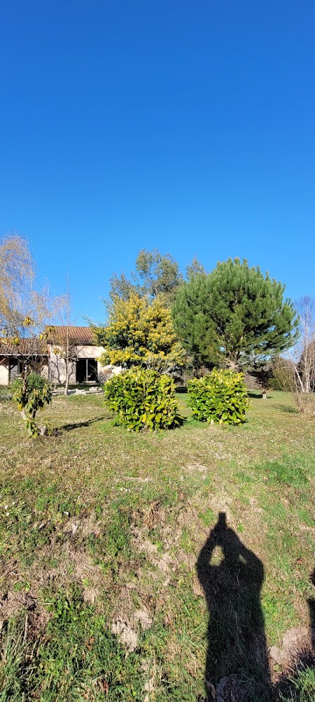 Cognac-la-Forêt
