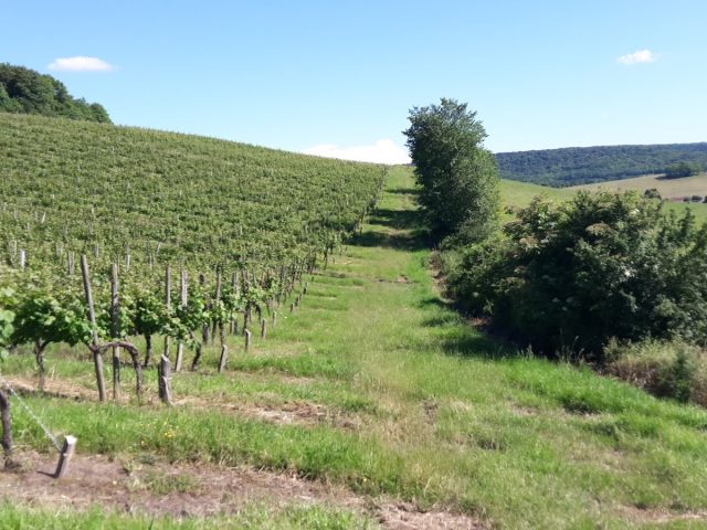 Coiffy-le-Haut - Coiffy-le-Haut -