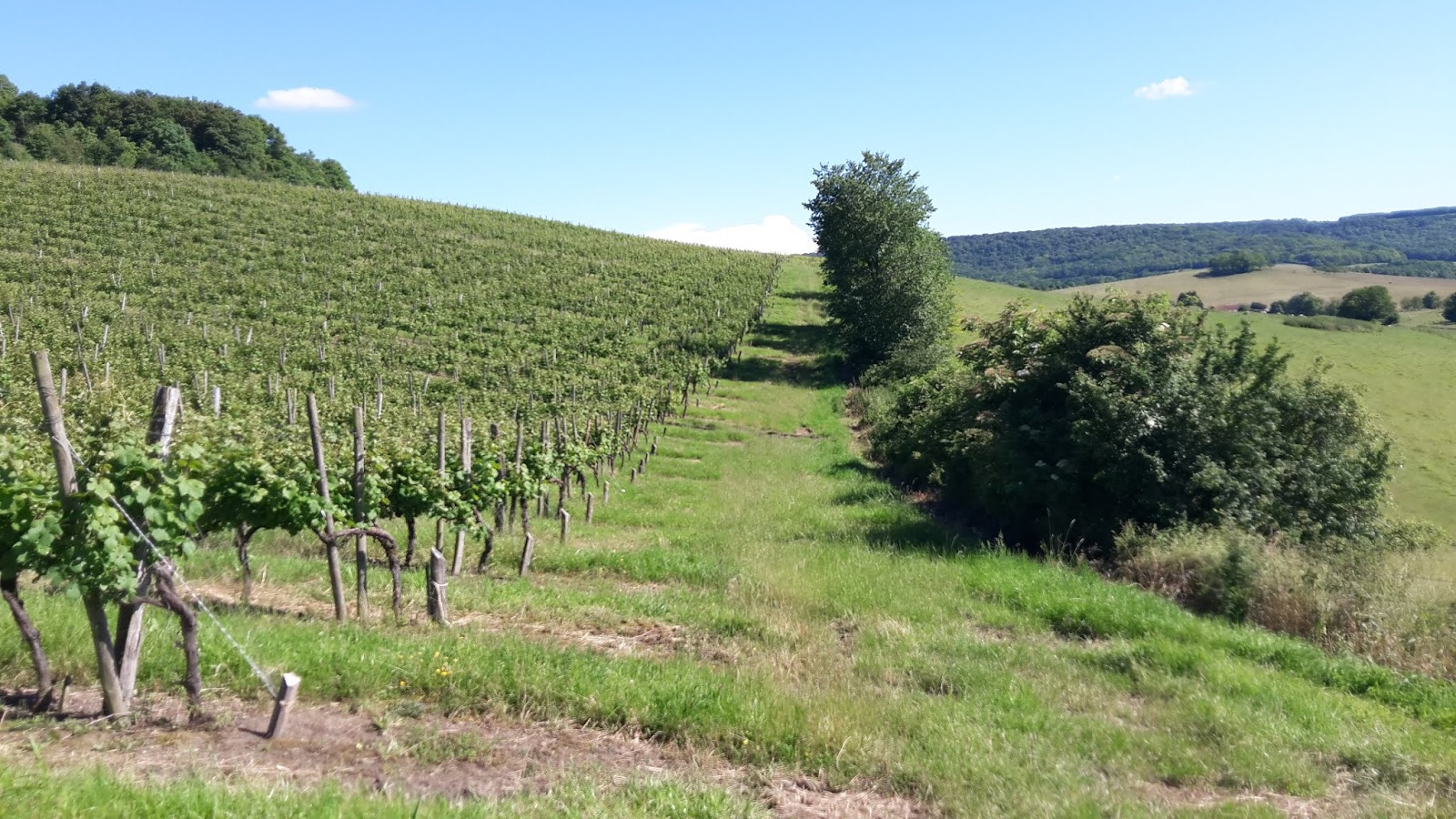 Coiffy-le-Haut
