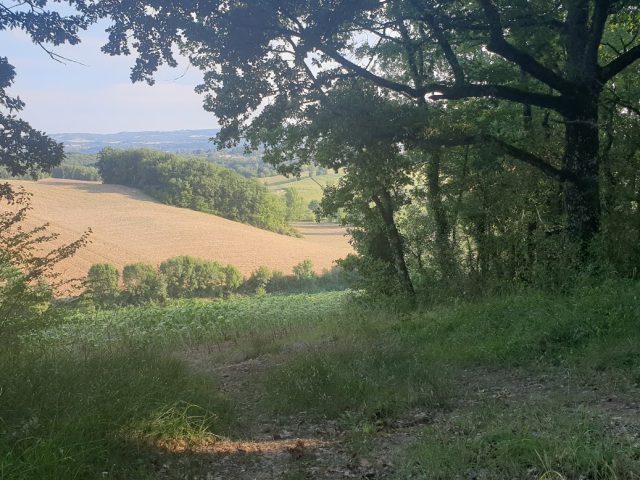 Labessière-Candeil - Labessière-Candeil -