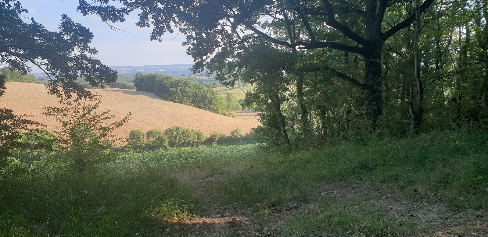 Labessière-Candeil