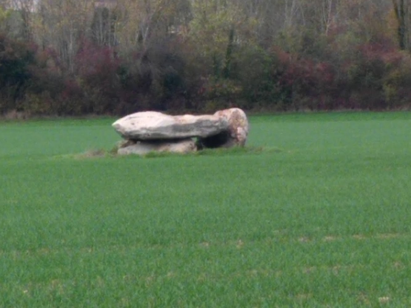 Bercenay-le-Hayer