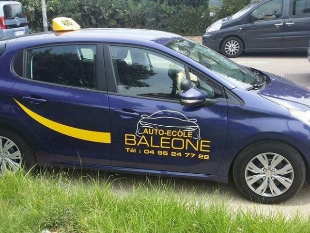 Auto Ecole Baleone - Sarrola-Carcopino - +33 4 95 24 77 28