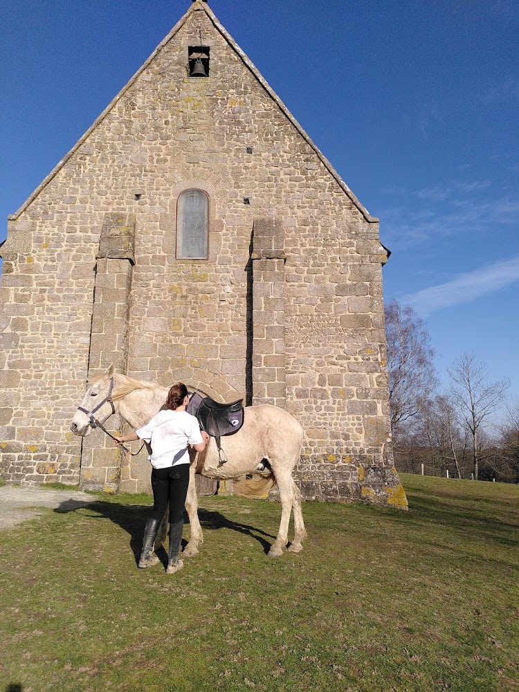 Domaine des Pierres Jumelles - Balade à cheval - Chambre d’hôtes-Hébergements insolites-Mayenne