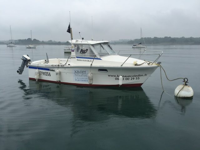 Découvrons la Mer - Carantec - +33 6 33 00 29 55