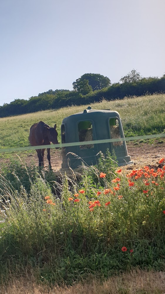 Les Bordes