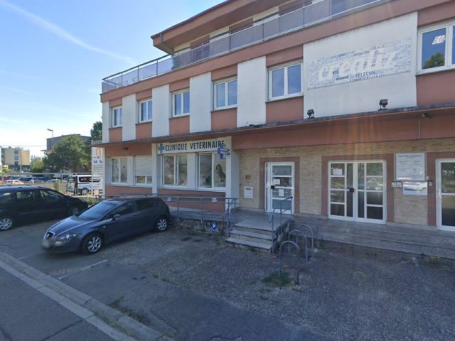 Phan - Schiltigheim - +33 9 81 92 16 22